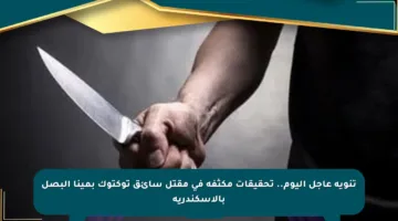 تنويه عاجل اليوم.. تحقيقات مكثفة في مقتل سائق توكتوك بمينا البصل بالإسكندرية